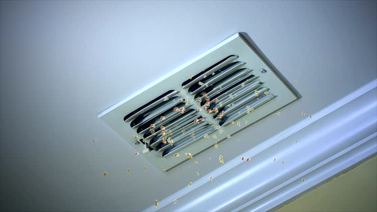 Best HVAC Air Duct Cleaning  in Eustace, TX