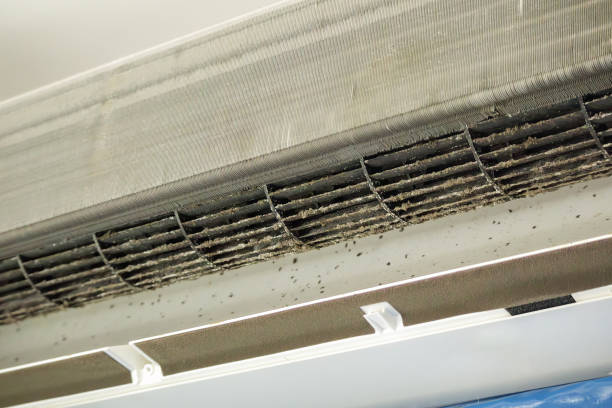 Best Air Duct Cleaning Company Near Me  in Eustace, TX