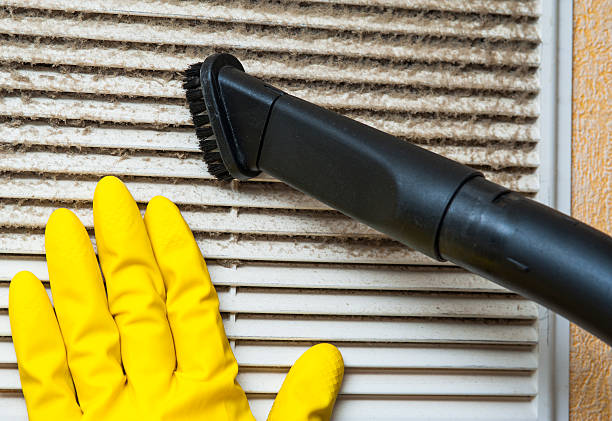 Best Home Air Vent Cleaning  in Eustace, TX
